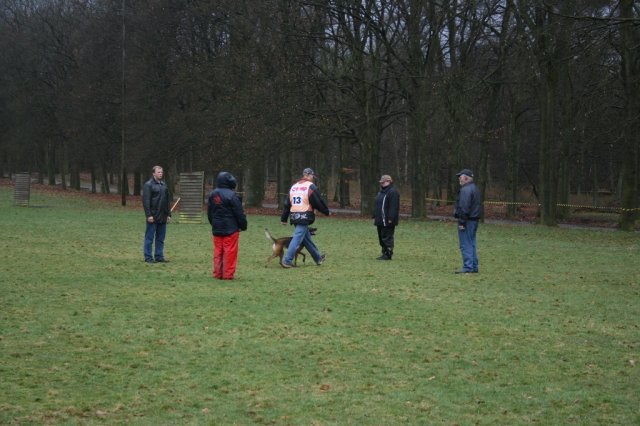 29 maa 2008