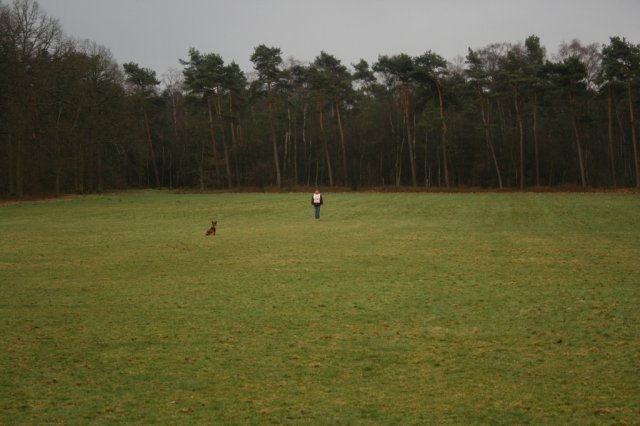 29 maa 2008