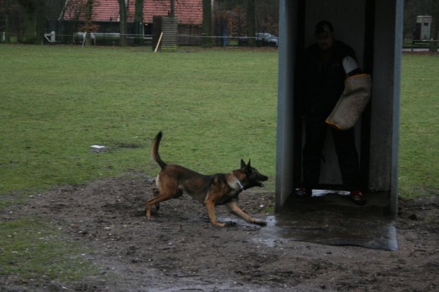 29 maa 2008