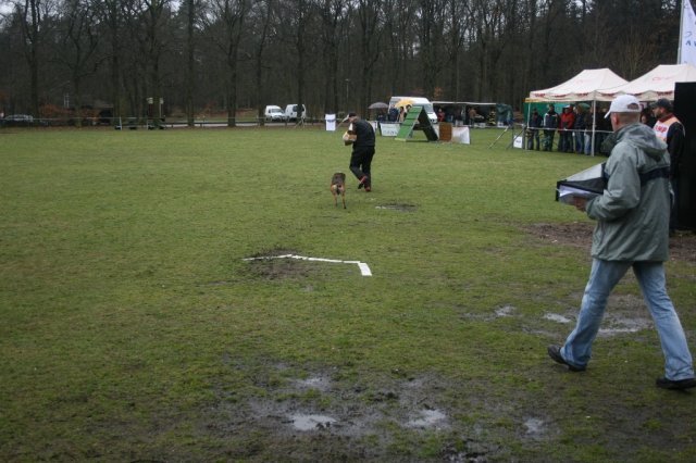 29 maa 2008