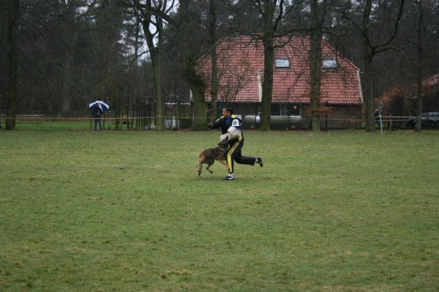 29 maa 2008