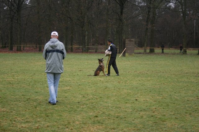 29 maa 2008