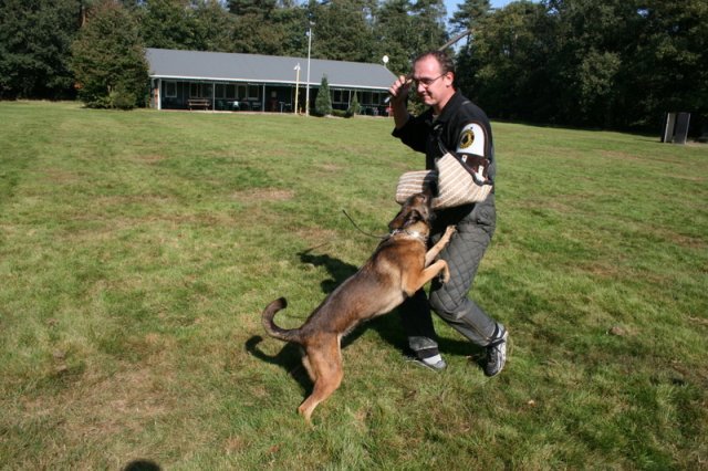 27 sep 2008