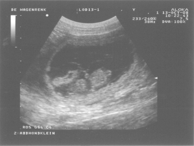 13 oktober 2008