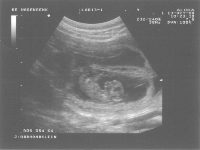 13 oktober 2008
