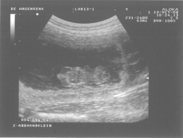 13 oktober 2008
