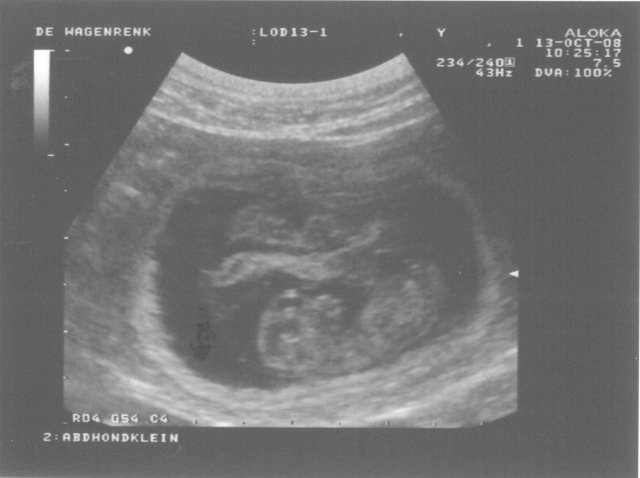 13 oktober 2008