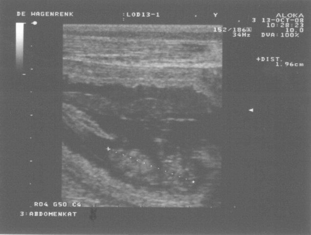 13 oktober 2008