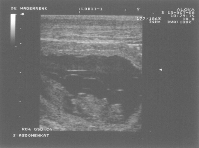 13 oktober 2008