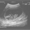 13 oktober 2008