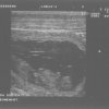 13 oktober 2008