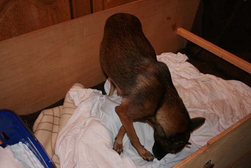 14 november 2008